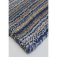 Haven-Blue-Bird